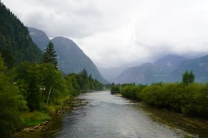 (Untitled)