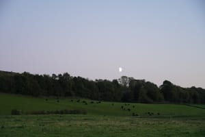 Strawberry Moon